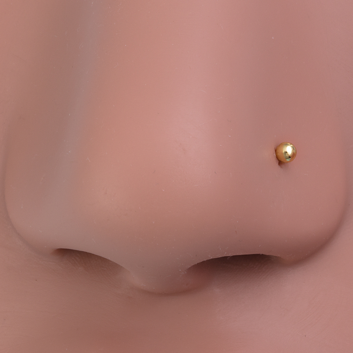 Anneaux de goujon antarctique  - Nostril Screw Pin avis et prix