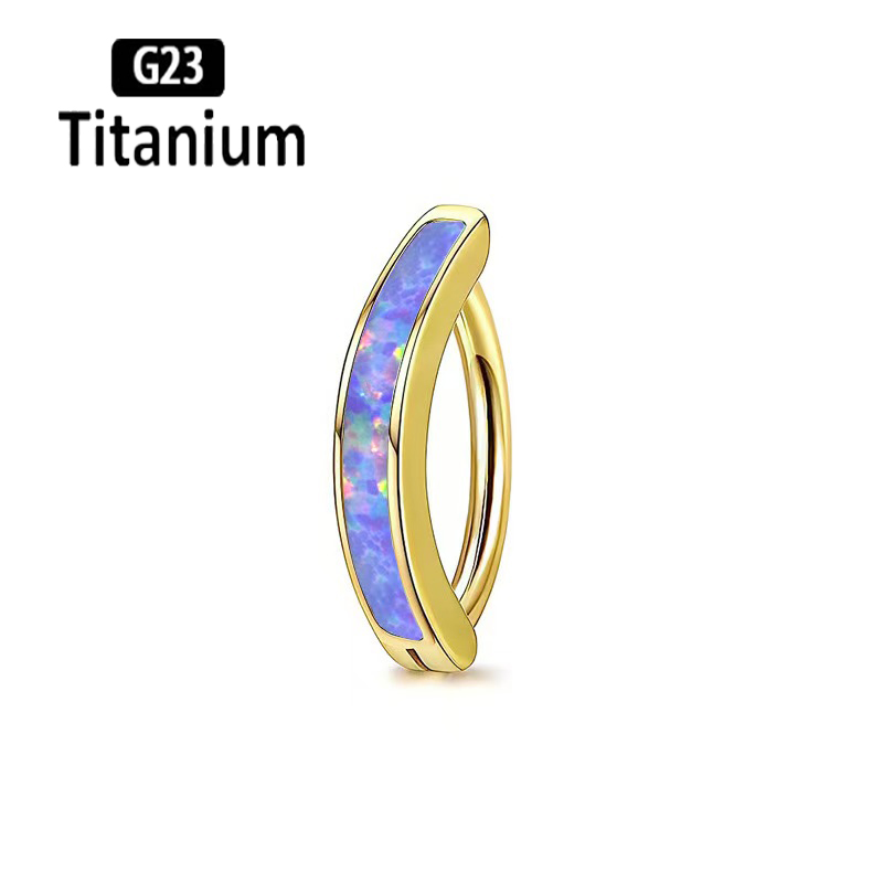 1PC 14G Implant Grade G23 tita - Body Jewelry Implant Grade avis et prix