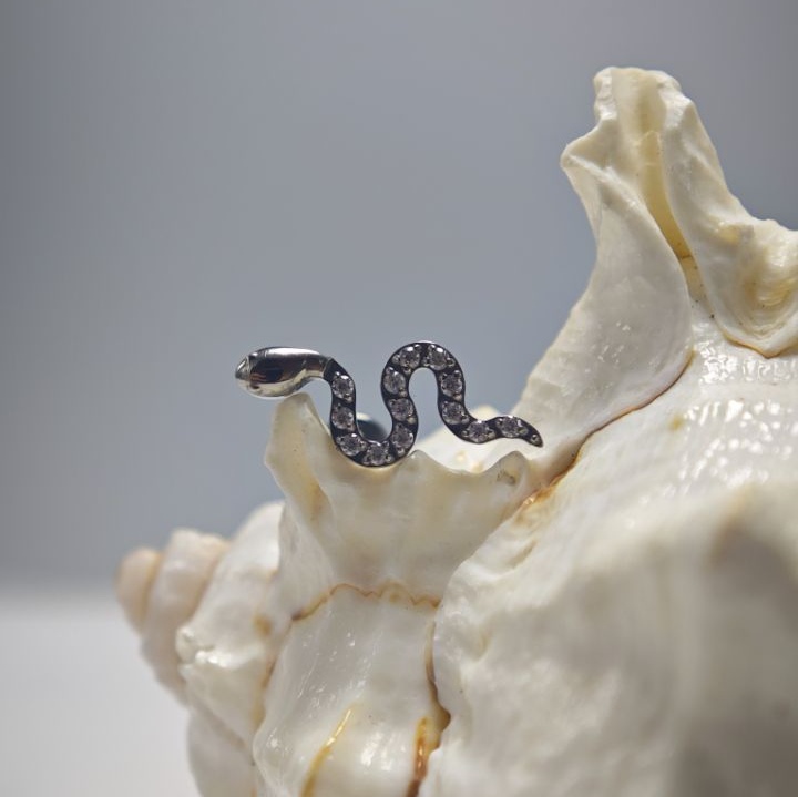 16G titane Implant Grade haute - Body Jewelry Implant Grade avis et prix