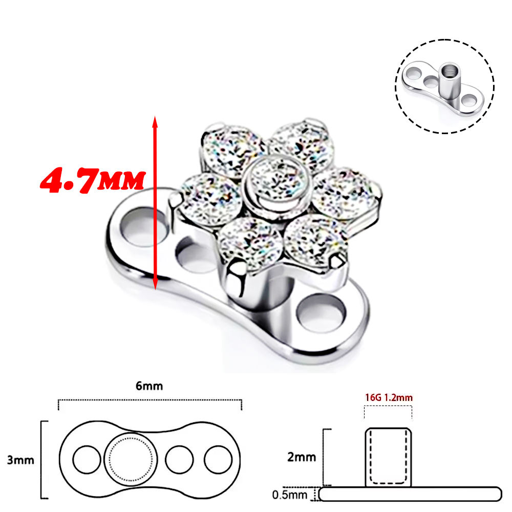 F136 alliage de titane de haut - Body Jewelry Implant Grade avis et prix